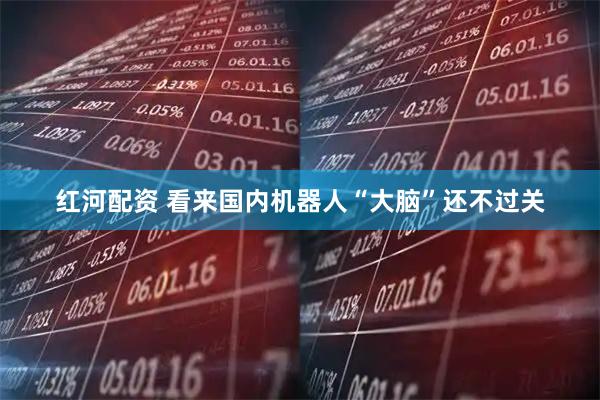 红河配资 看来国内机器人“大脑”还不过关