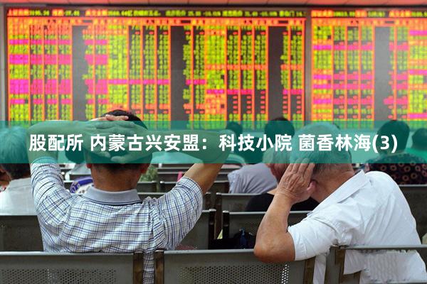 股配所 内蒙古兴安盟：科技小院 菌香林海(3)