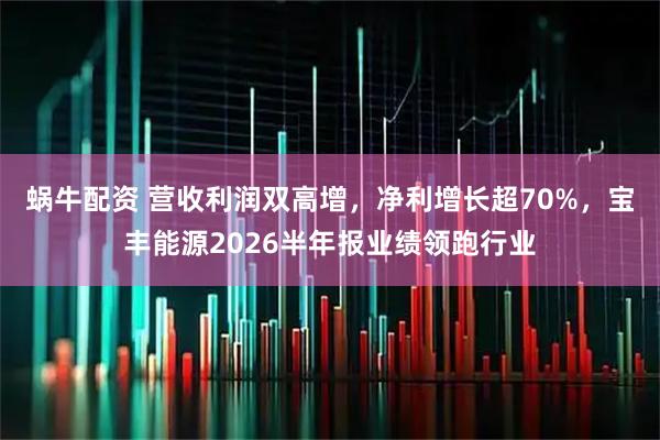 蜗牛配资 营收利润双高增,净利增长超70%,宝丰能源2026半年报业绩领跑行业