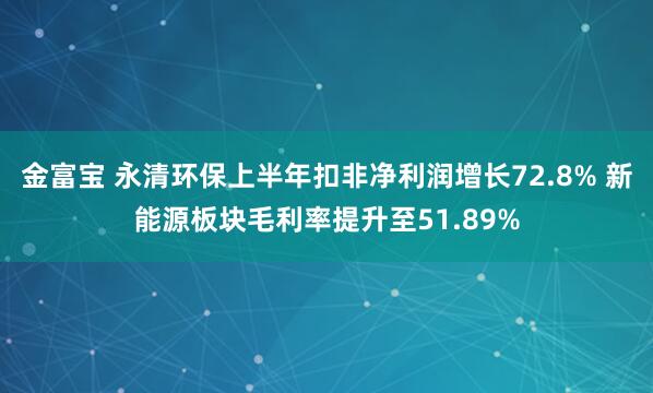 金富宝 永清环保上半年扣非净利润增长72.8% 新能源板块毛利率提升至51.89%